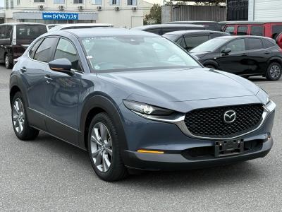 Car 1